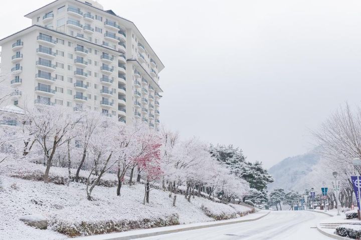 日韓兩地TOP3人氣滑雪場曝光！連三年成長40％ 日韓人氣滑雪行程 回饋點數雙倍送