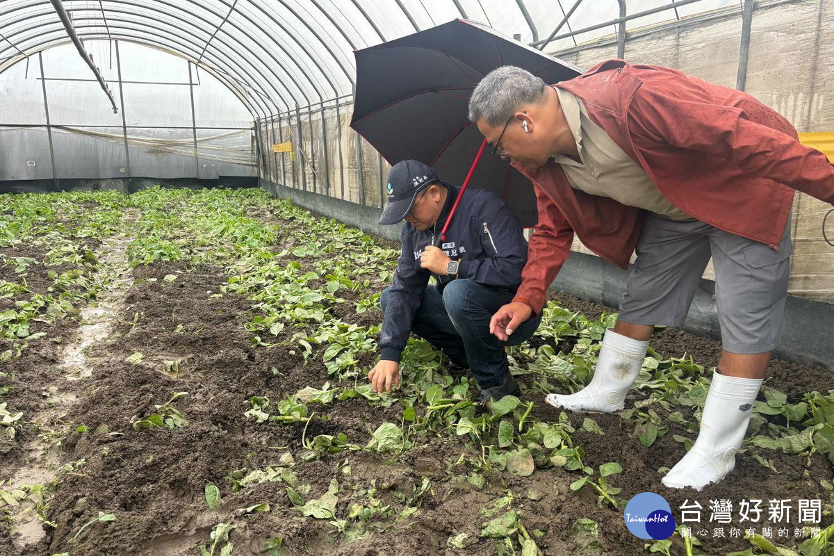 豪雨釀災水淹農作物,市府農業局長陳冠義偕同相關單位進行勘災。