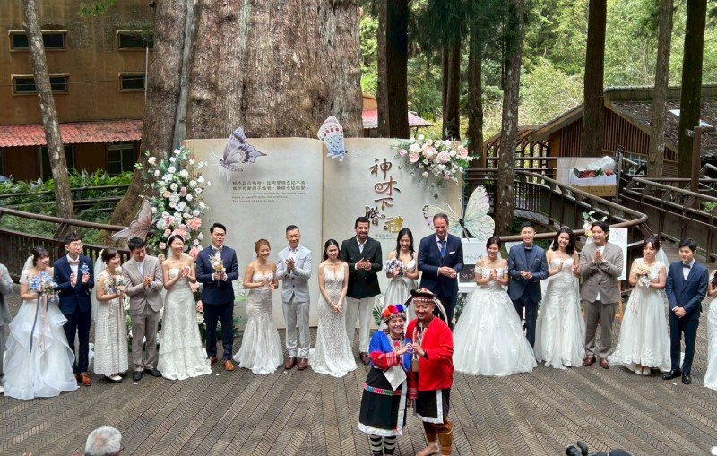 愛你1314浪漫婚宴  阿里山神木婚禮入住阿里山賓館  盡享絕美無價雲瀑流雲婚旅