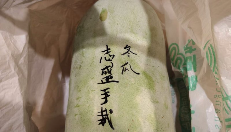 冬瓜也文雅浪漫起來 阿盛冬瓜達人 將農事變韻事
