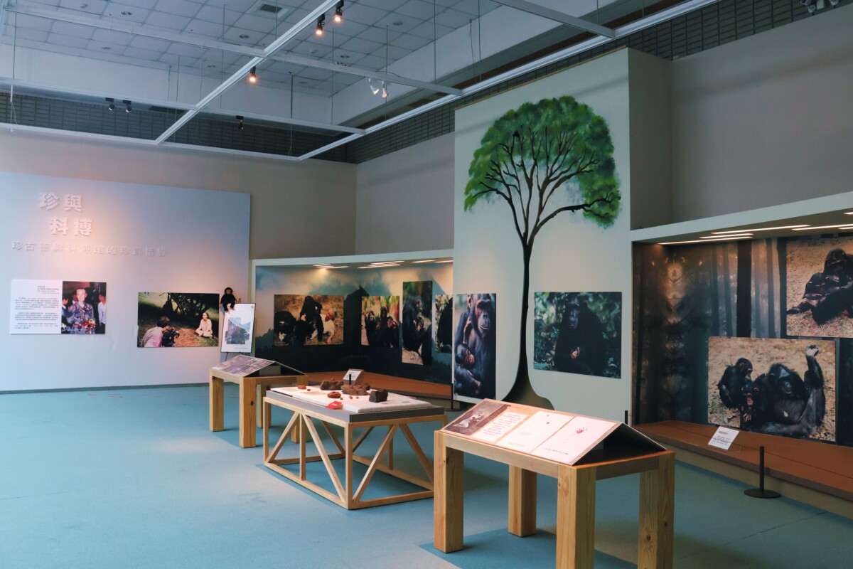▲科博館即日起推出紀念微型展《珍與科博:珍古德與科博館的珍貴情緣》。