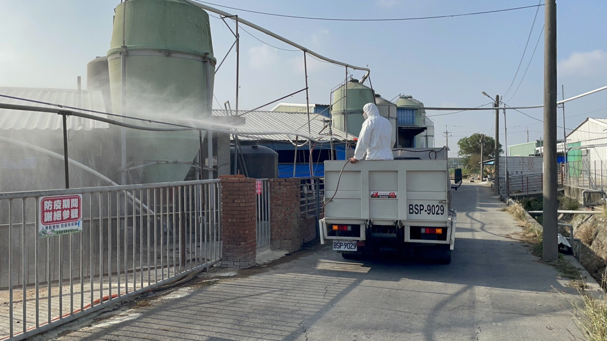 台中市爆發首例非洲豬瘟(ASF)疑似案例,嘉義縣府立即啟動全面防疫措施/嘉義縣府提供