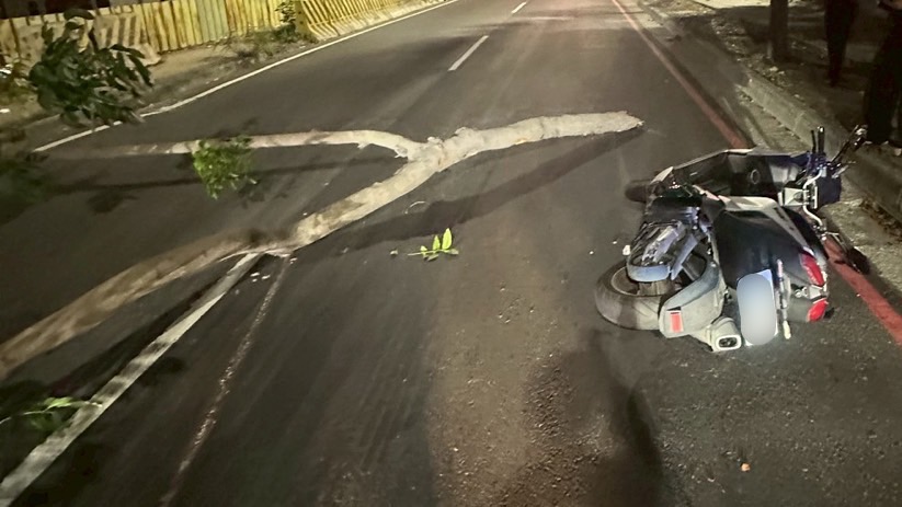 高雄騎士深夜慘摔! 凶手竟是路樹斷枝躺馬路 害絆倒機車