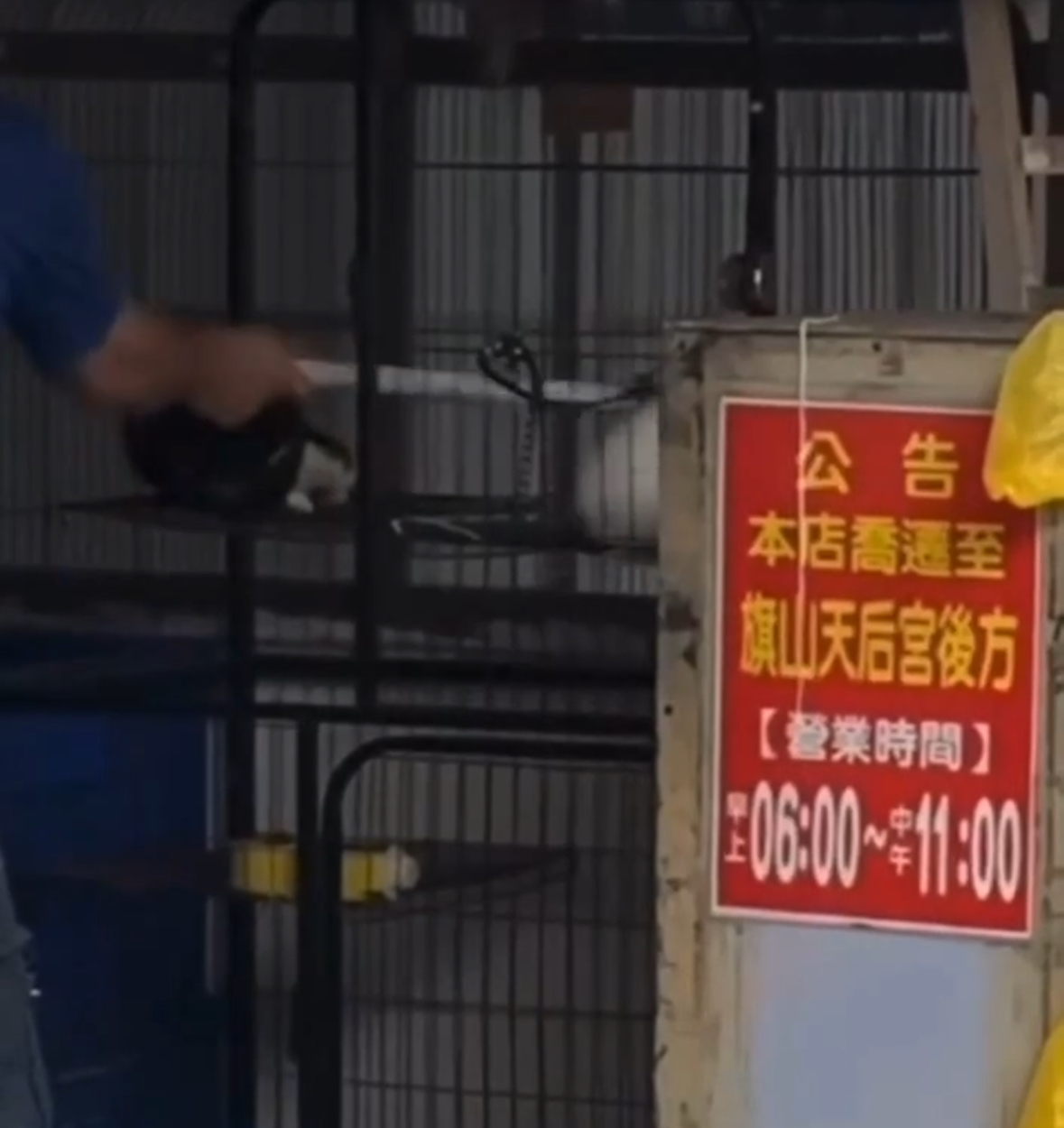 高雄碗粿店老闆疑虐貓畫面曝光!網怒刷一星罵翻 動保處出手帶走三隻貓