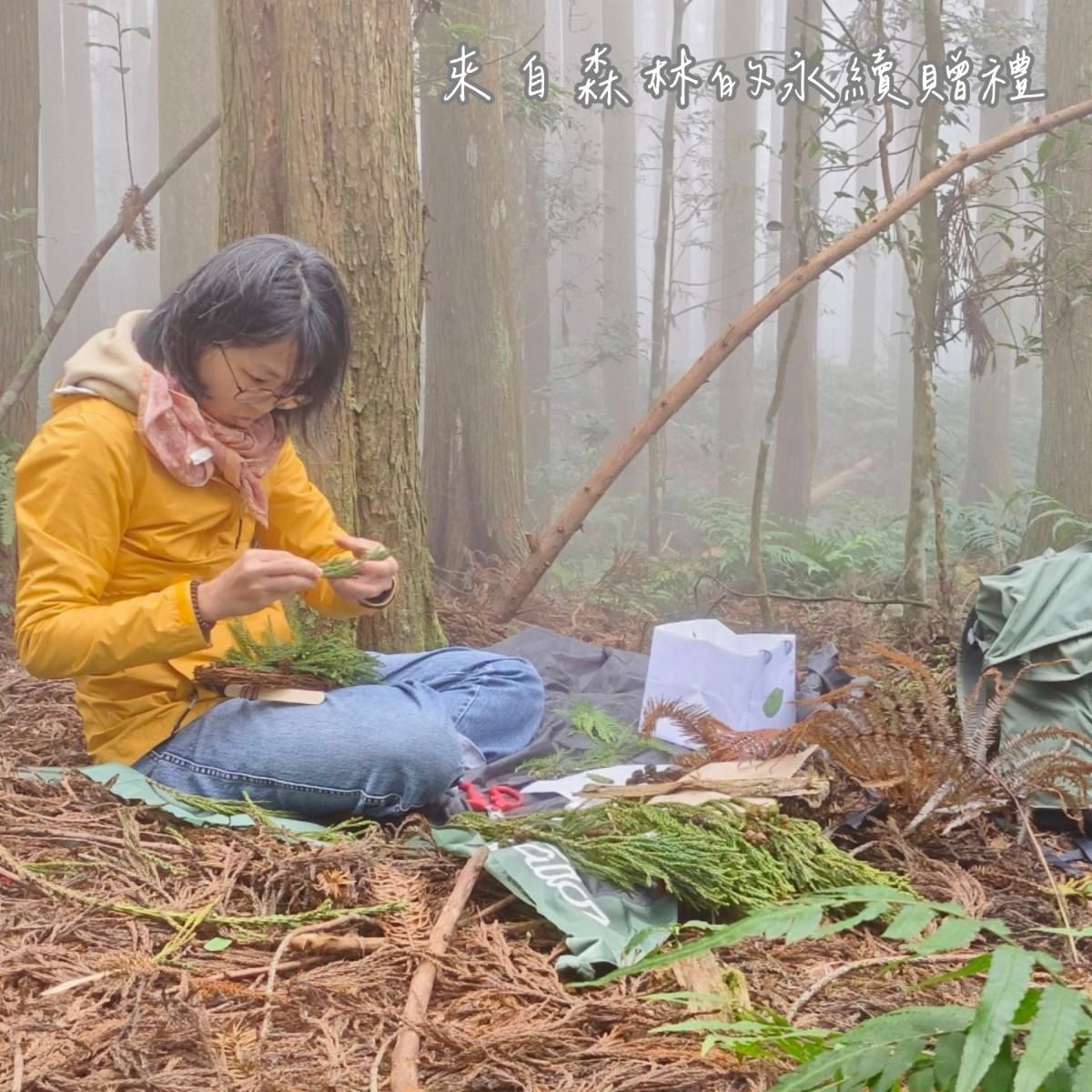取材自永泰林場現地的柳杉枝條、毬果等森林素材 (新竹分署提供)