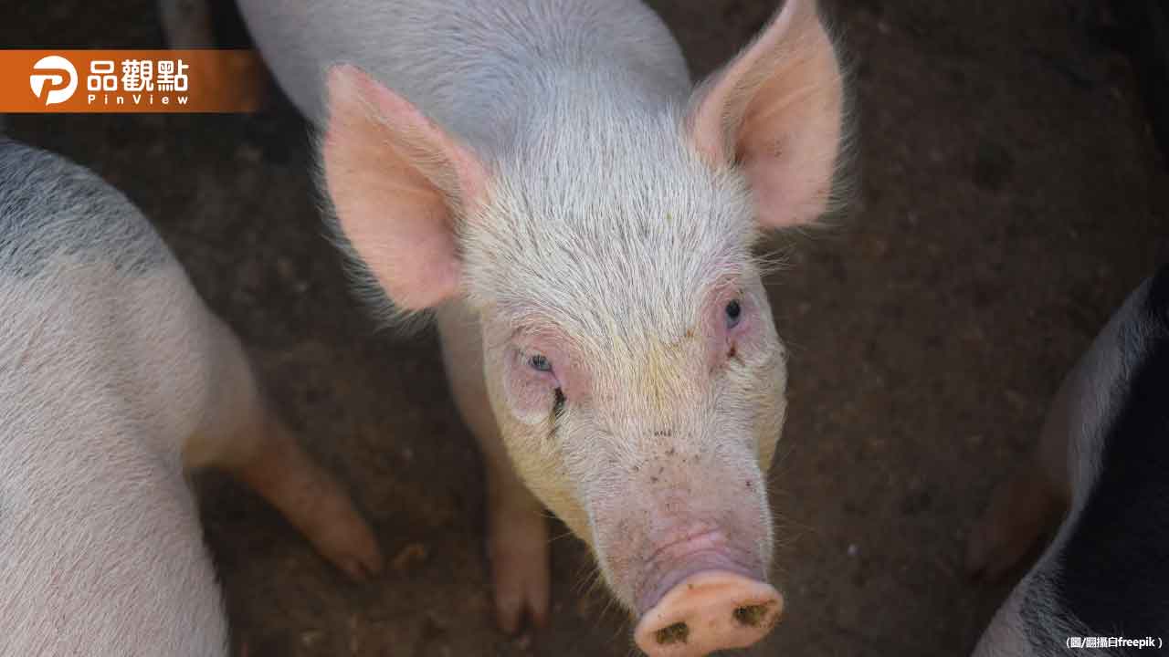 非洲豬瘟衝擊!「米其林必比登」雙月今起停售滷肉飯