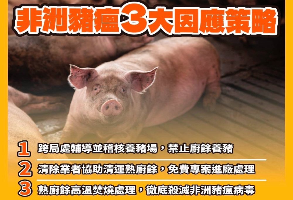 環保局宣布3策略備戰豬瘟 新北全面去化廚餘杜絕疫情破口 240 248251023a03