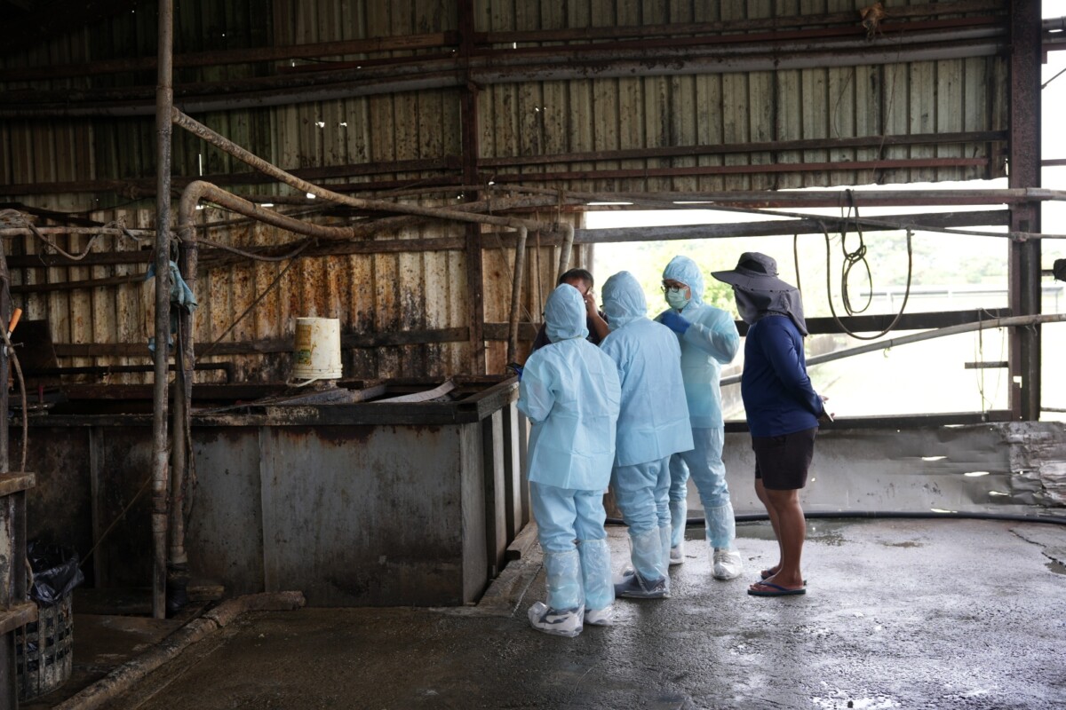 ▲台中市梧棲一處養豬場發現國內首例非洲豬瘟案例，屏東縣政府聯合稽查小組今(23)日起針對縣內原本使用廚餘養豬的98家養豬場啟動全面稽查。（圖／屏東縣政府提供）