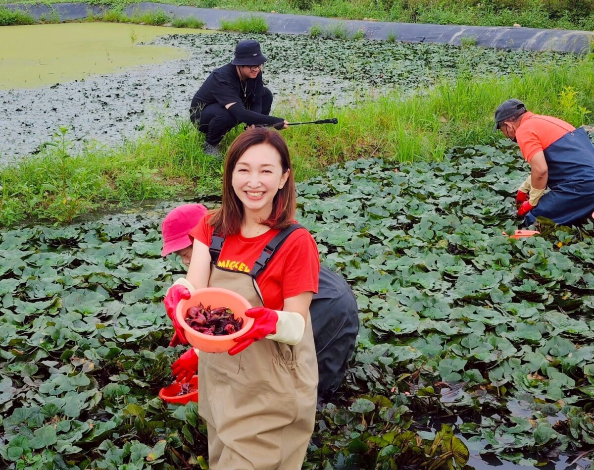 ▲李雨庭穿青蛙裝下田!帶林園社區親身體驗菱角文化。