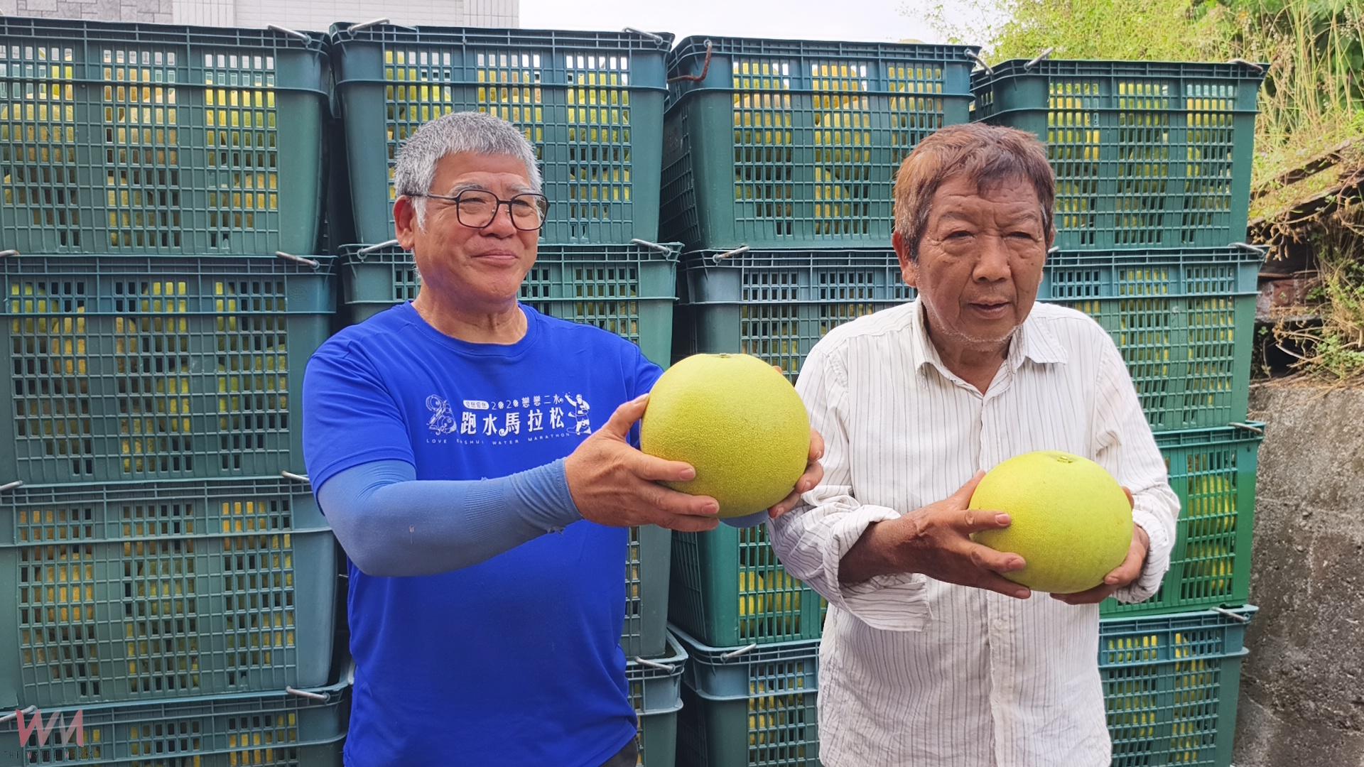 (有影片)/霜降採柚正當時 二水鄉白柚評鑑吸引28組農友比拚 - https://www.watchmedia01.com