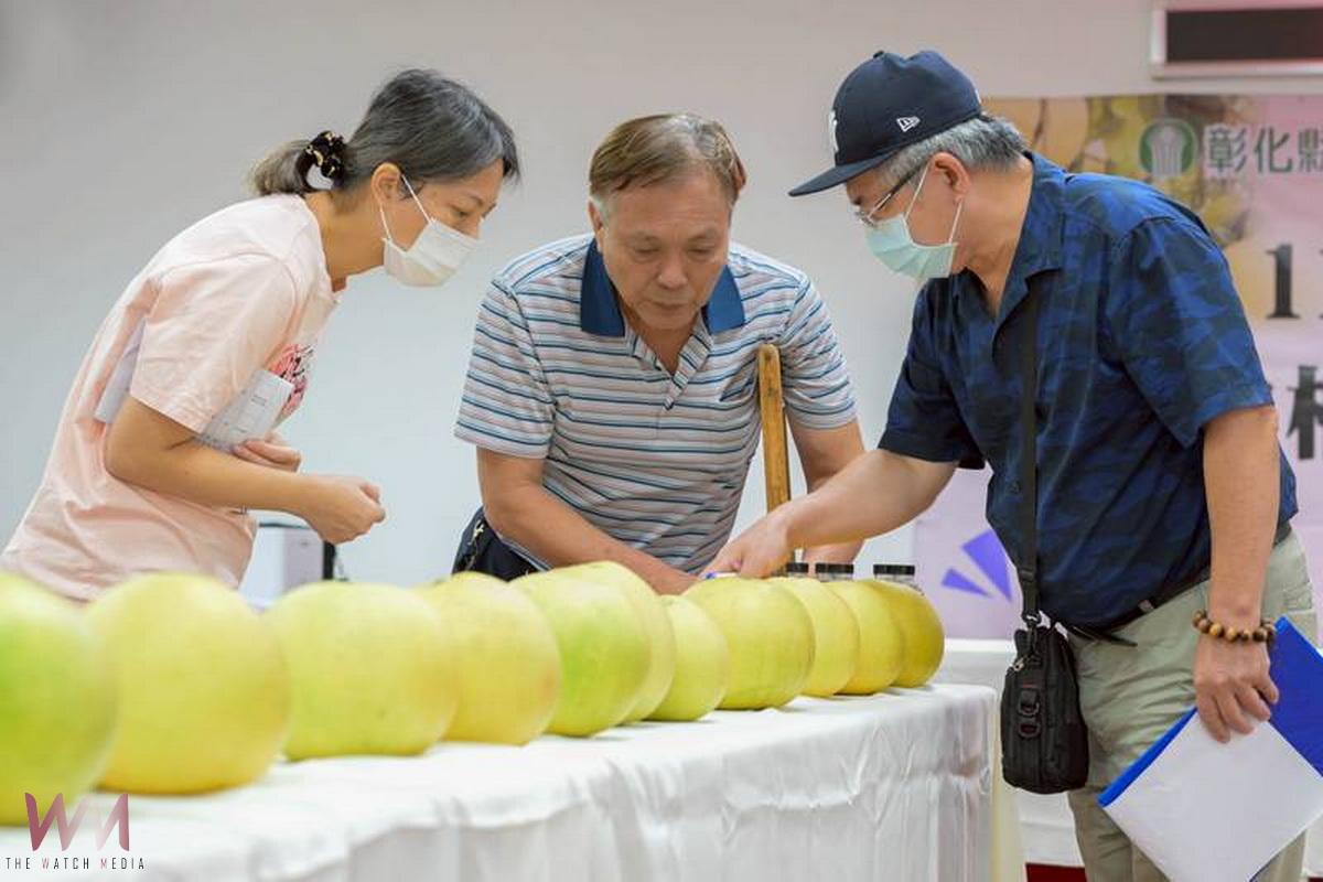 (有影片)/霜降採柚正當時 二水鄉白柚評鑑吸引28組農友比拚 - https://www.watchmedia01.com
