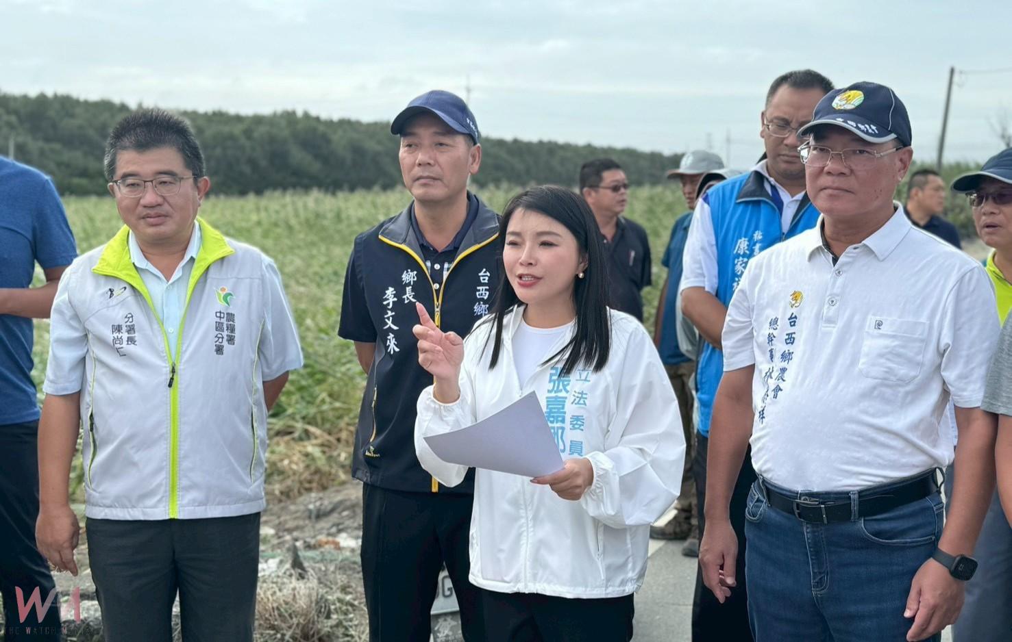 雲林沿海玉米田遭強風重創 張嘉郡、丁學忠促中央啟動救助 - https://www.watchmedia01.com