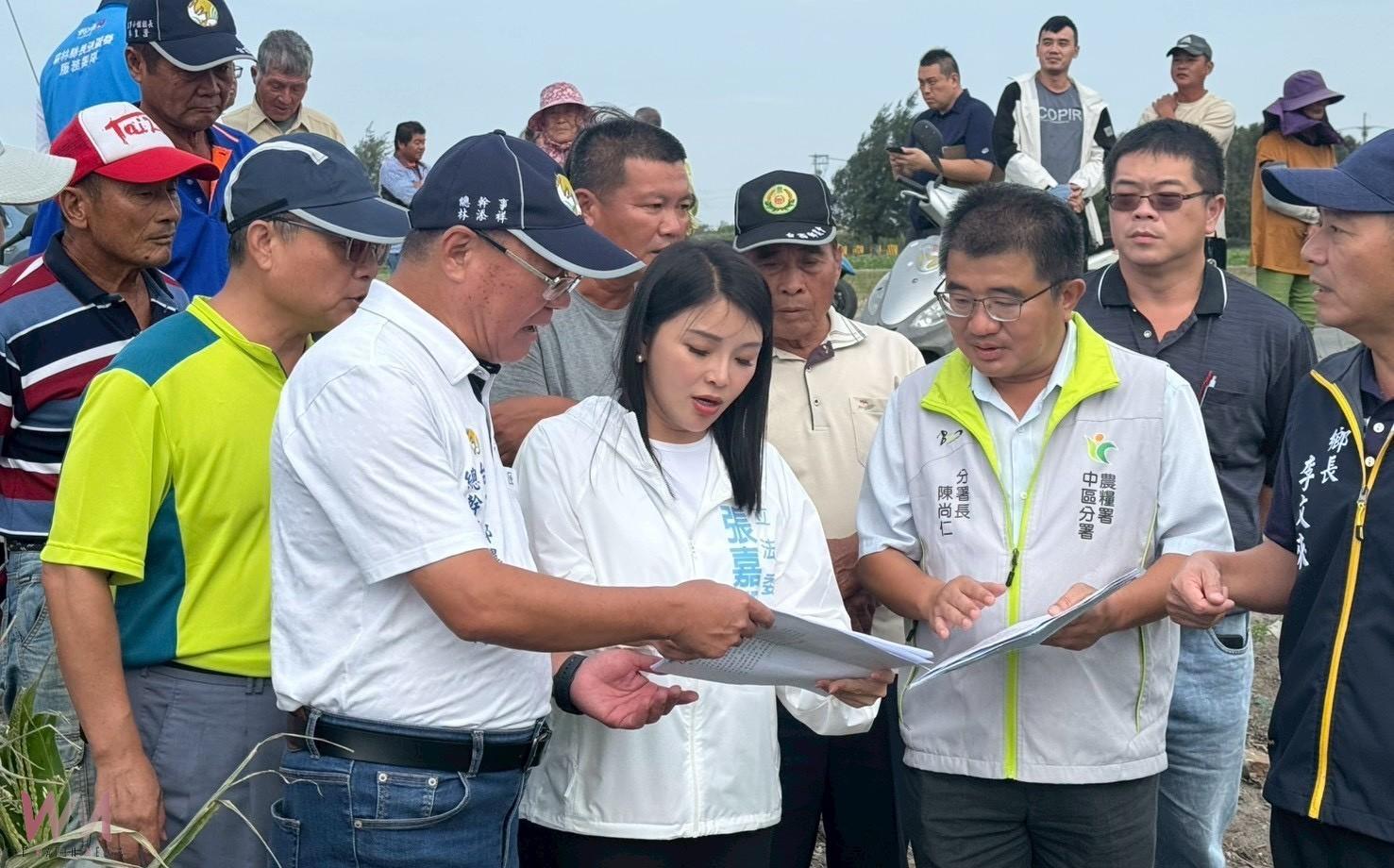 雲林沿海玉米田遭強風重創 張嘉郡、丁學忠促中央啟動救助 - https://www.watchmedia01.com