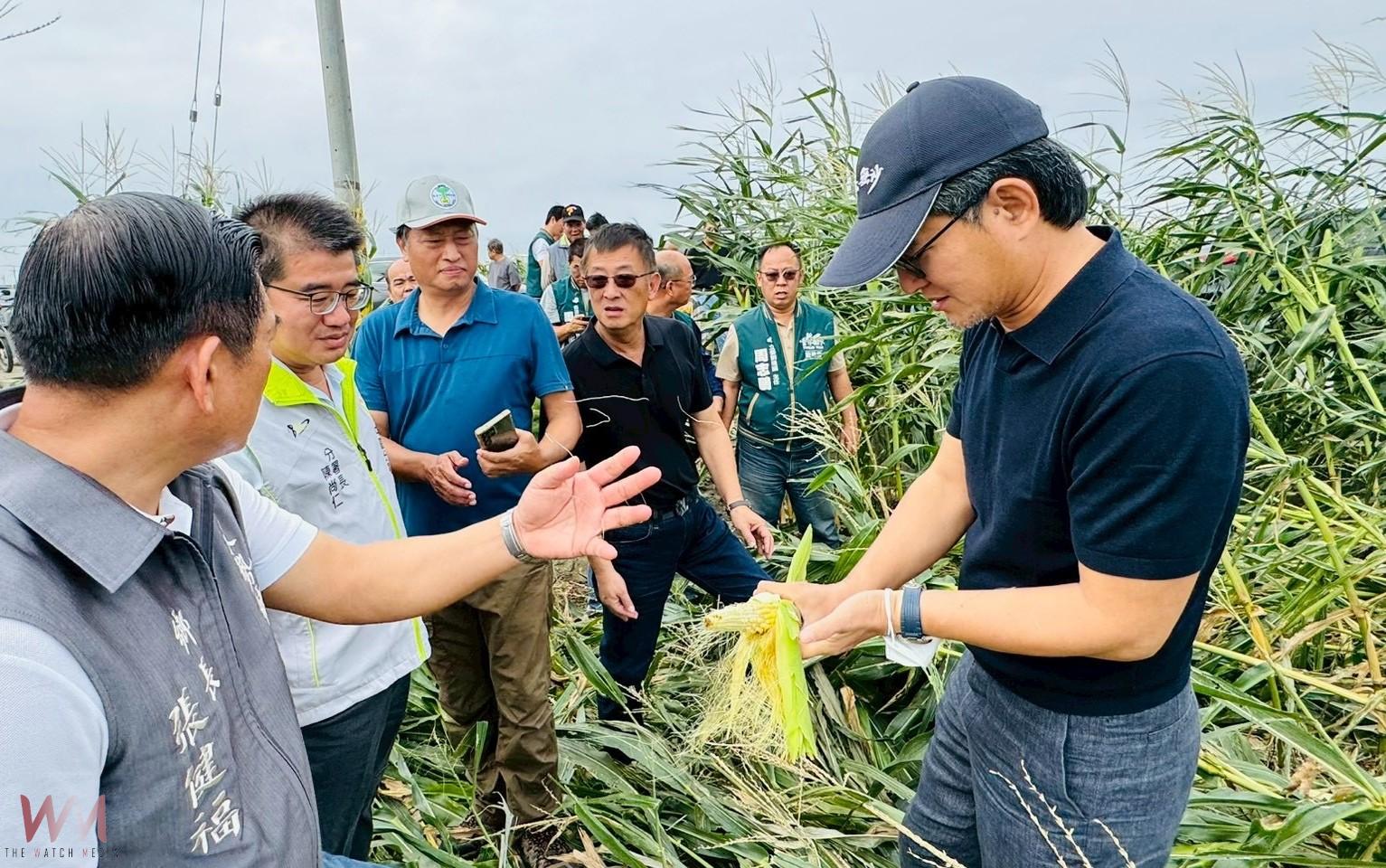 強風吹倒玉米田大片倒伏 劉建國要求中央速發救助金 - https://www.watchmedia01.com