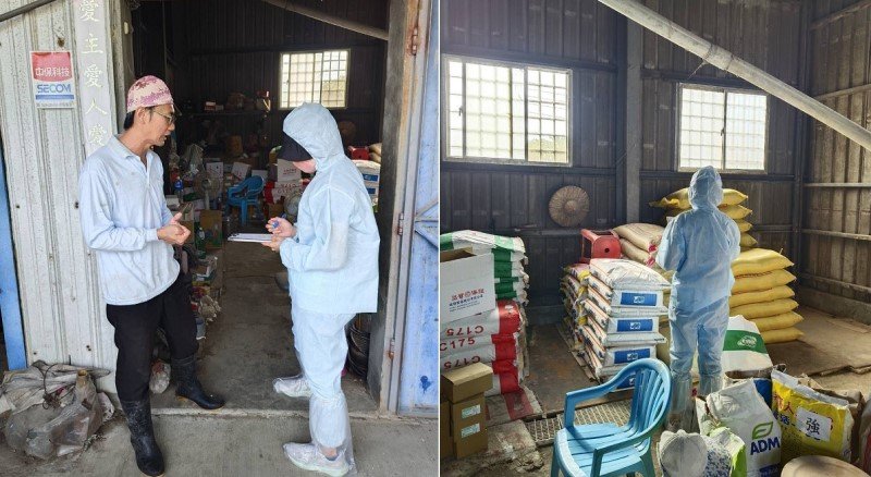 高雄市全面禁止廚餘養豬 所有再利用養豬場未來均改用飼料餵飼