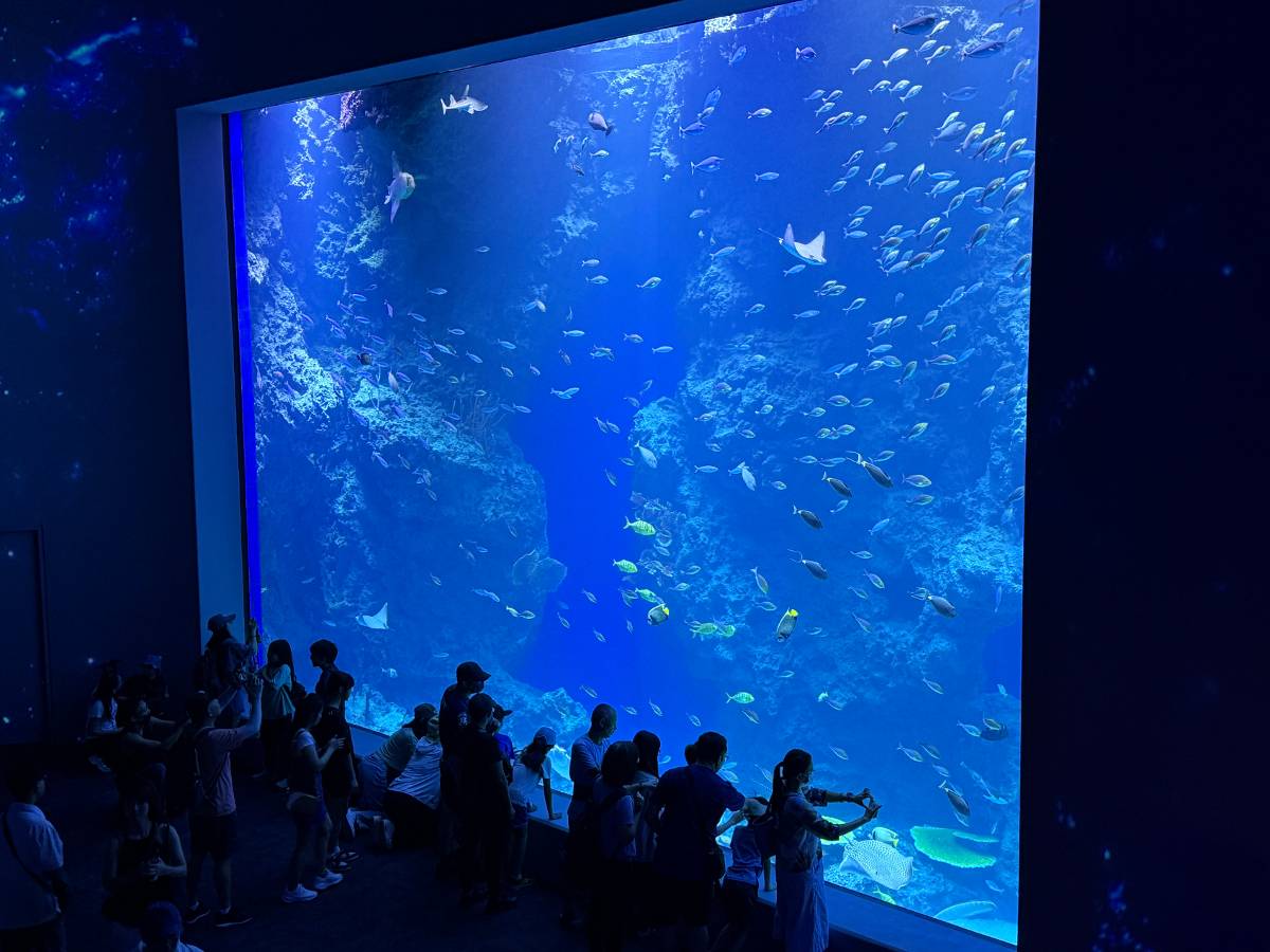 海線新亮點登場! 台中海洋館帶動濱海旅遊熱潮