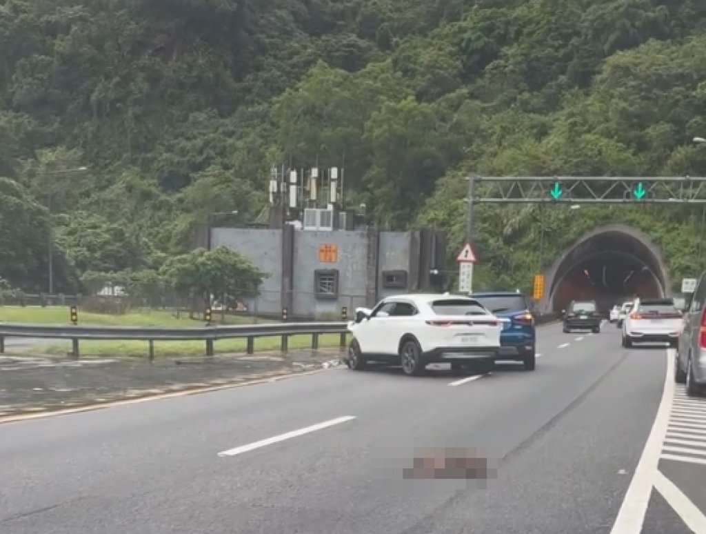 國道5號撞到猴子發生車禍? 國道警方說明了