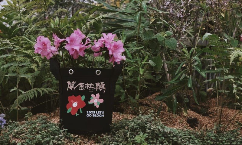 秋遊萬金 杜鵑小旅行限量優惠中