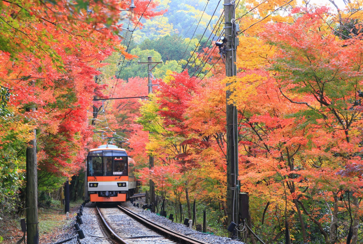 市原至二之瀬區間的紅葉隧道。 圖:叡山電鐵/提供