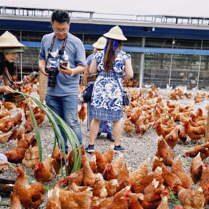 探索臺南農村 體驗金牌魅力