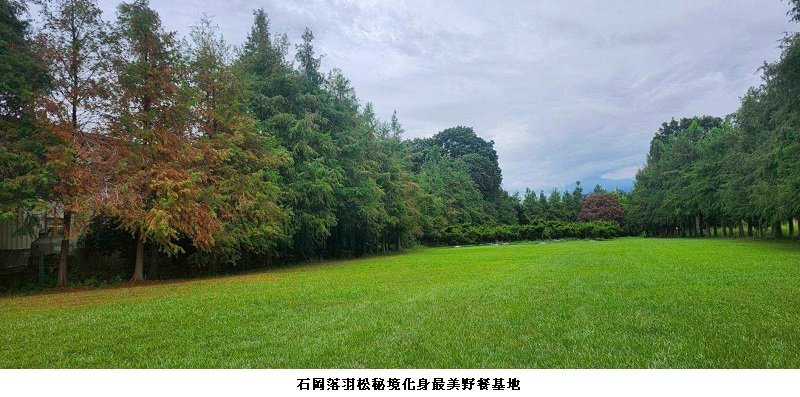 最美市民野餐日!石岡落羽松秘境悠遊翻書趣