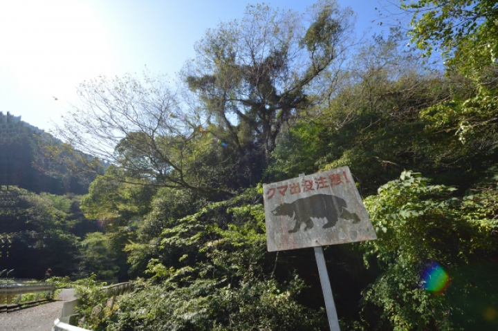 日本旅遊安全提醒:秋冬山林旅遊 請注意!熊出沒 北海道、東北地區目擊地圖總整理