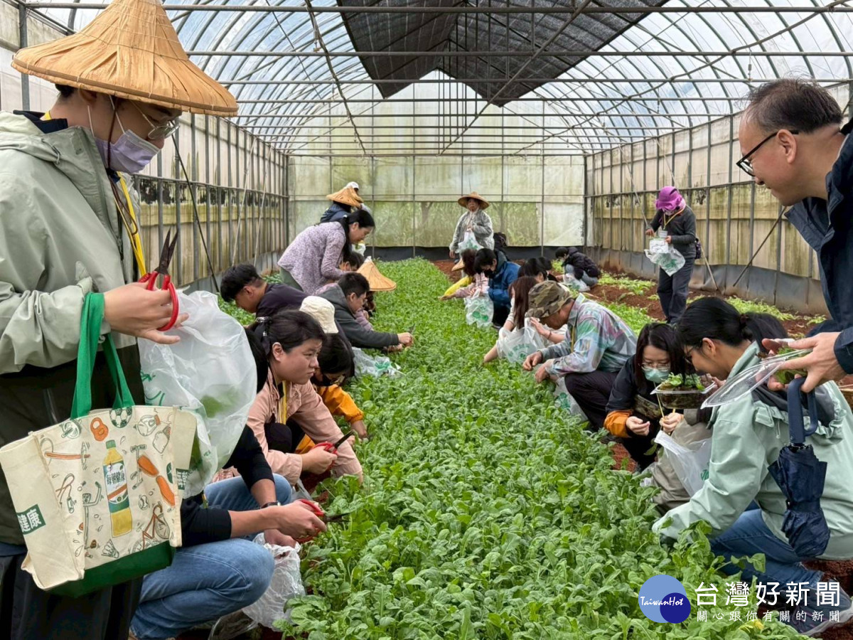 桃園環保局推創意行銷工作坊。
