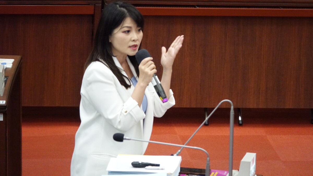▲陳美雅質詢時指出,政府推動多項青年創業與就業輔導政策,但實際執行效果有限。(記者 李堂安 翻攝)