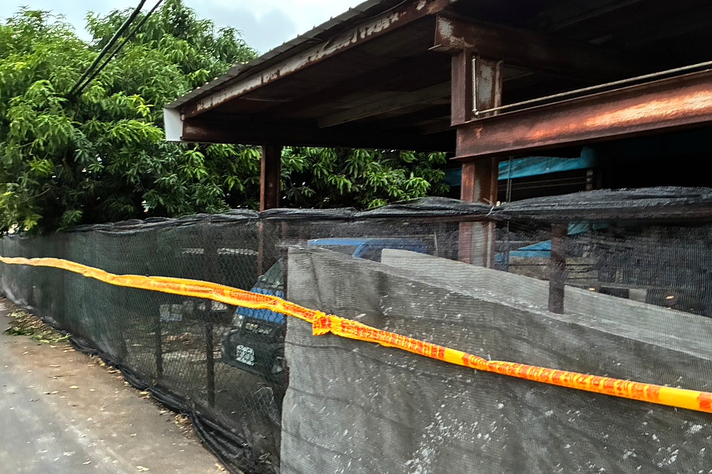 非洲豬瘟2輪防疫階段 陳大田:增設疫區圍網堵擴散 212 非洲豬瘟2輪防疫階段 陳大田:增設疫區圍網堵擴散 211