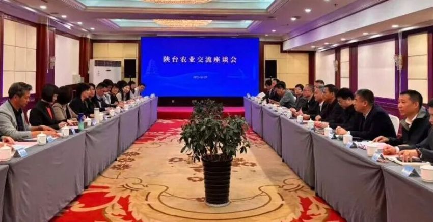 ▲陝西與臺灣農業交流座談會在西安舉辦,共謀兩岸農業融合發展。