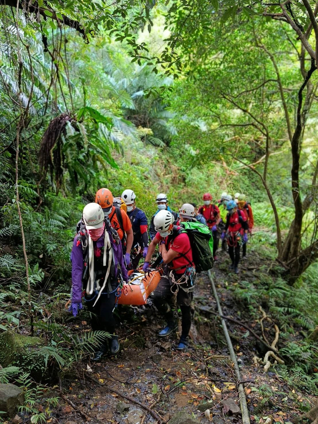 登叢雲山失聯家屬懸賞50萬協尋 老翁遺體找到了 - https://www.watchmedia01.com