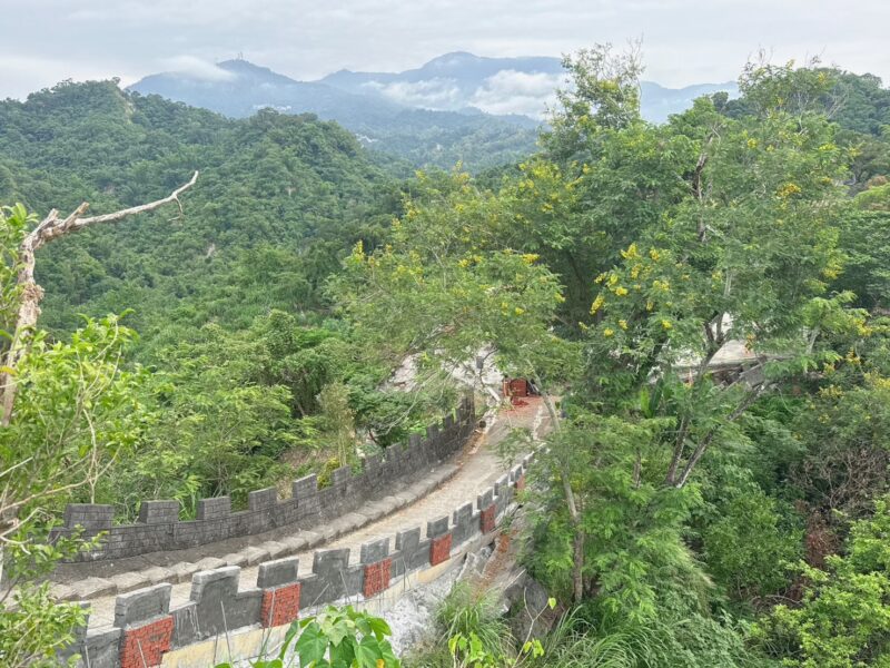 圖文:台灣萬里長城蝴蝶翩翩起舞 生態園區成為寓教於樂的最佳去處。