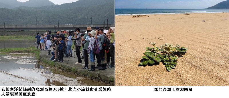 走進候鳥與沙灘植物祕境 田寮洋小旅行開始報名