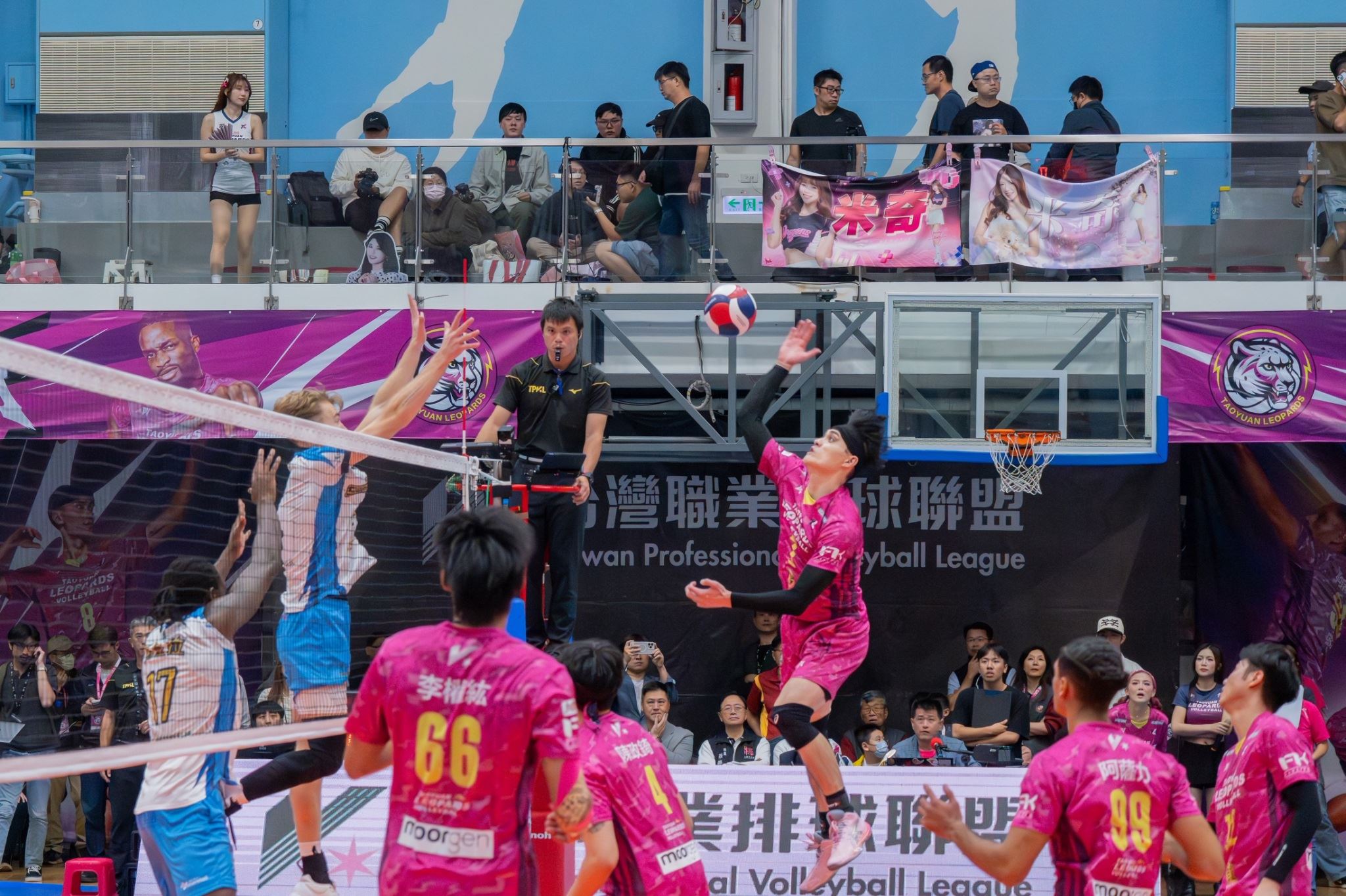 TPVL職排桃園主場開打 雲豹飛將與桃氣女孩熱力登場 e4eb1cb4 2705 4c9c b4df 825e4ec1abf9