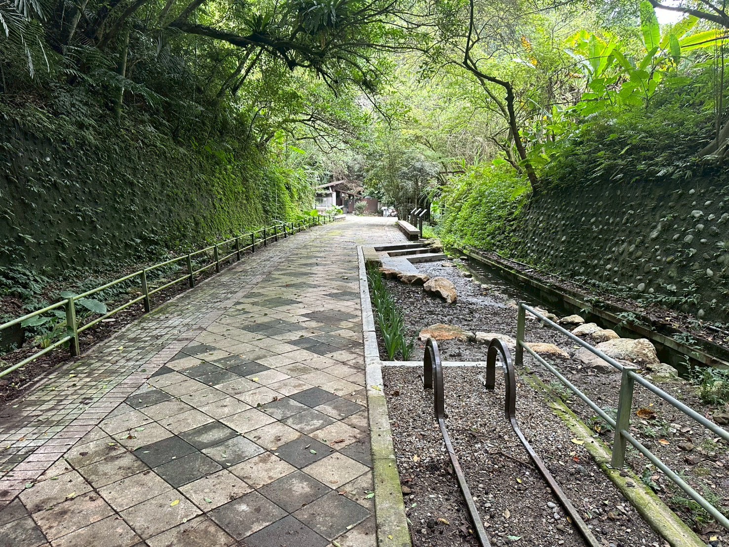 全台首座「生態池隧道」完工開放 打造北橫永續旅遊亮點 S 20111387 0