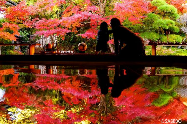 壽福寺名景「倒映紅葉」。 圖:(一社)長崎縣觀光聯盟/提供