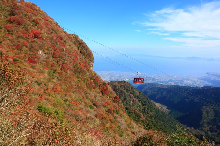 長崎超人氣!壽福寺「倒映紅葉」2025公開日期公佈