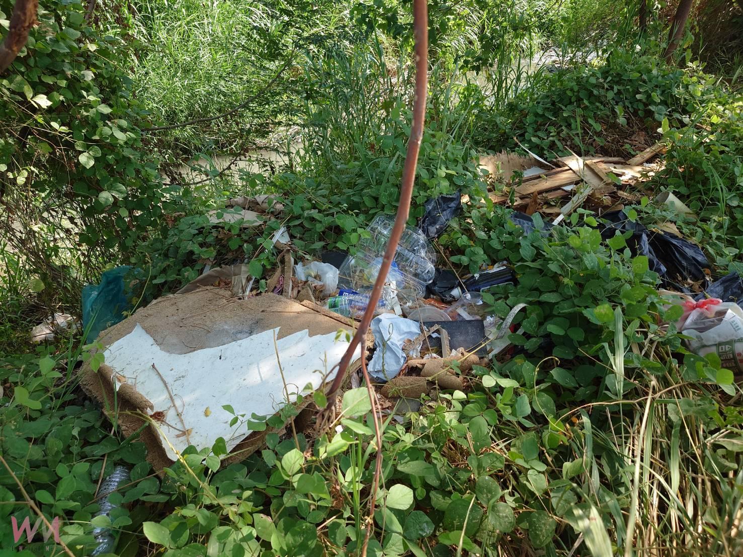 貓羅溪河床遭非法傾倒棧板碎玻璃 警方鎖定林男 - https://www.watchmedia01.com