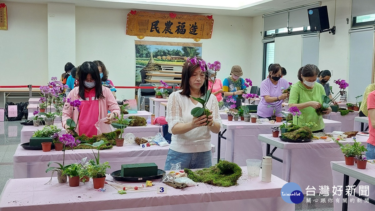 永靖鄉農會舉辦「苔球盆栽組合設計競賽」 培養園藝創作的興趣與美感