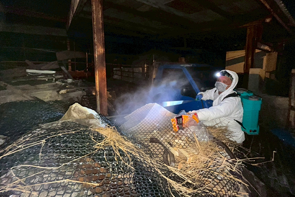 全面防堵非洲豬瘟 黃健豪:該負責就要負責 202 全面防堵非洲豬瘟 黃健豪:該負責就要負責 201