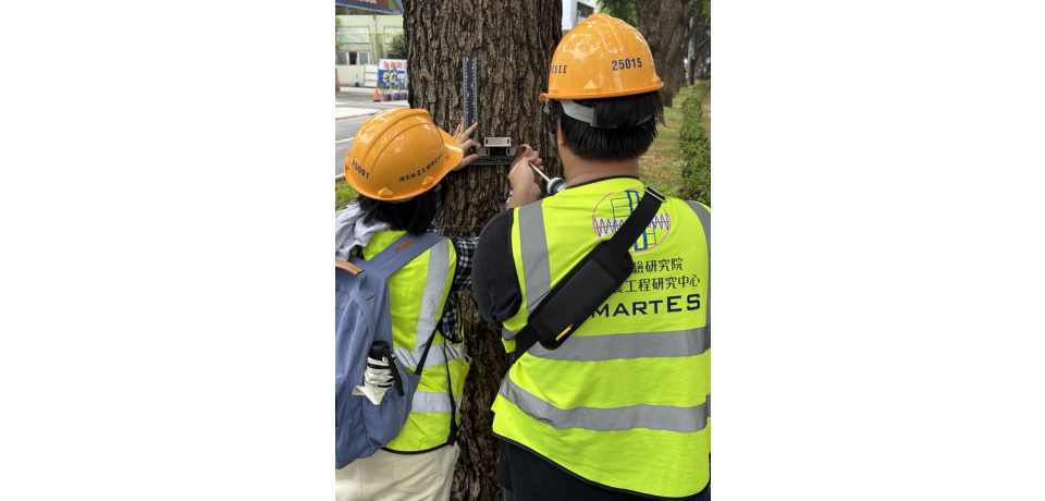 輕軌沿線導入AI智慧路樹監測確保行車安全
