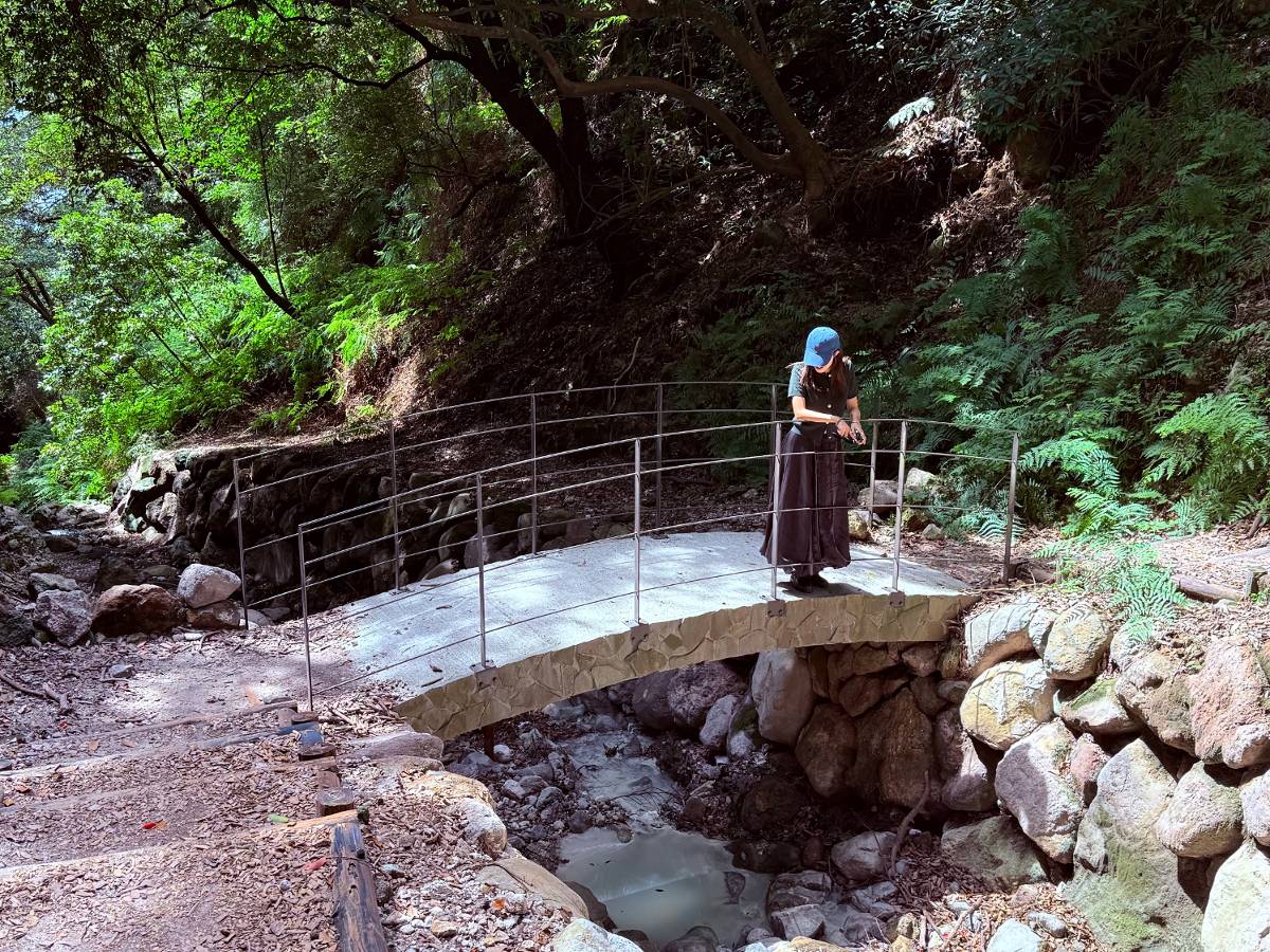 秋遊陽明山秘境 台北郊山步道展現自然與溫泉魅力