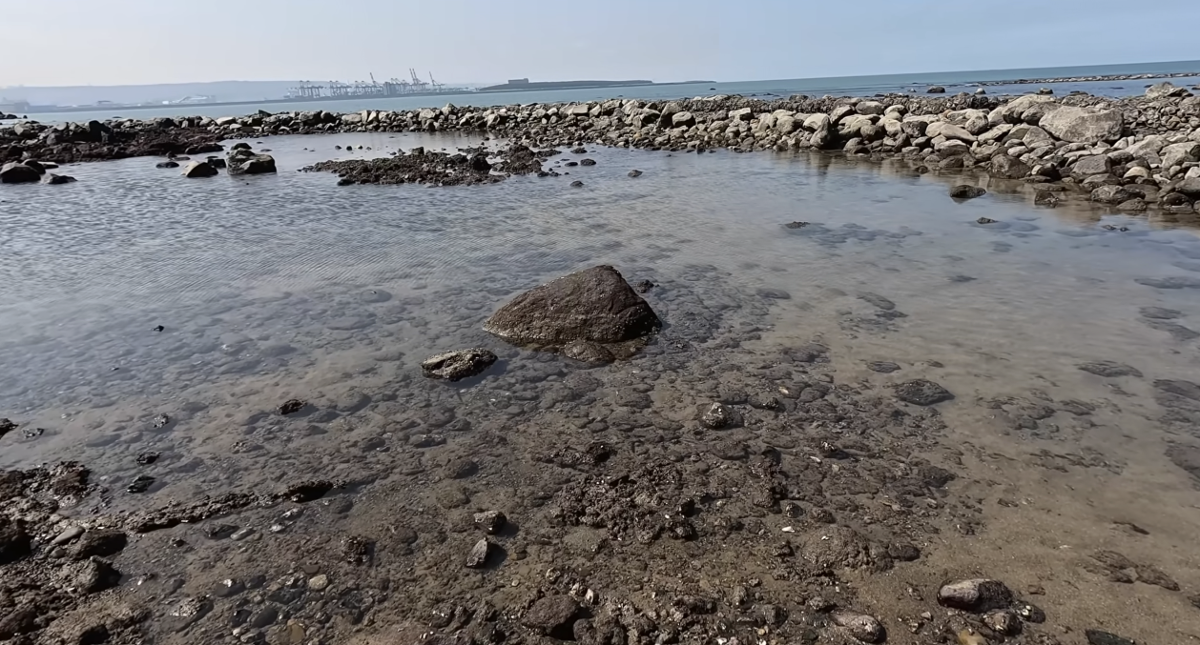 淡水秘境曝光! 退潮現古老捕魚奇景
