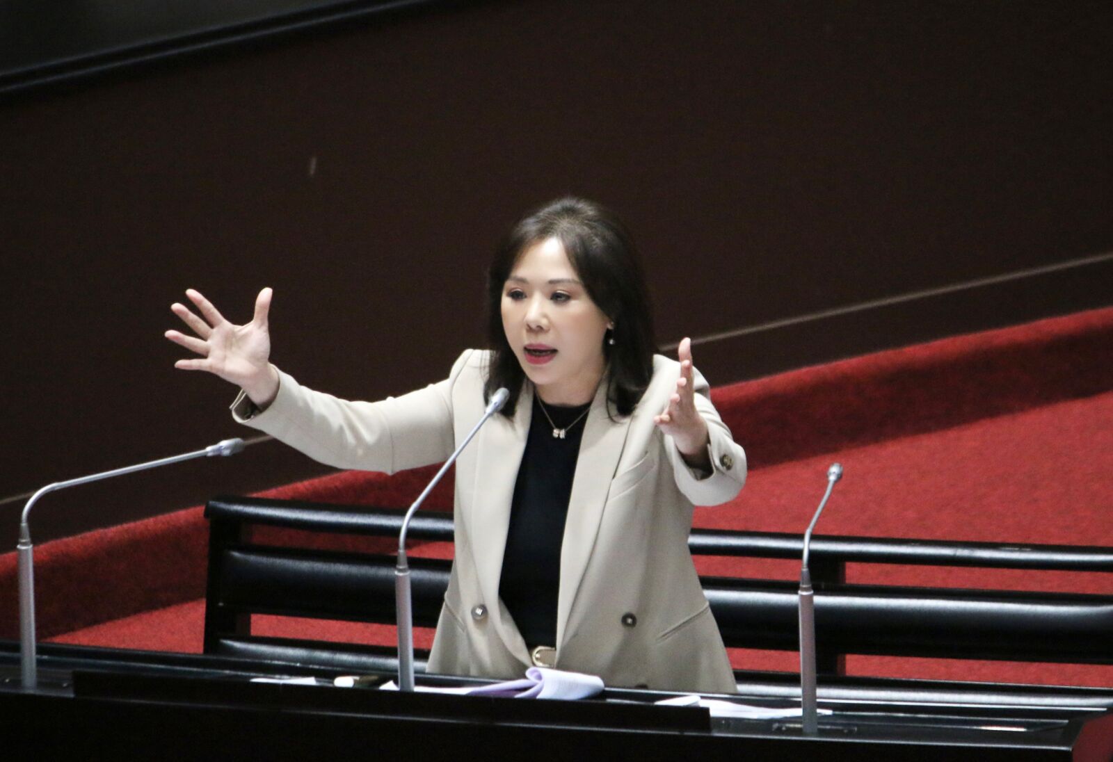 台電估核三重啟需3年半 李彥秀舉美例反問龔明鑫 202 台電估核三重啟需3年半 李彥秀舉美例反問龔明鑫 201