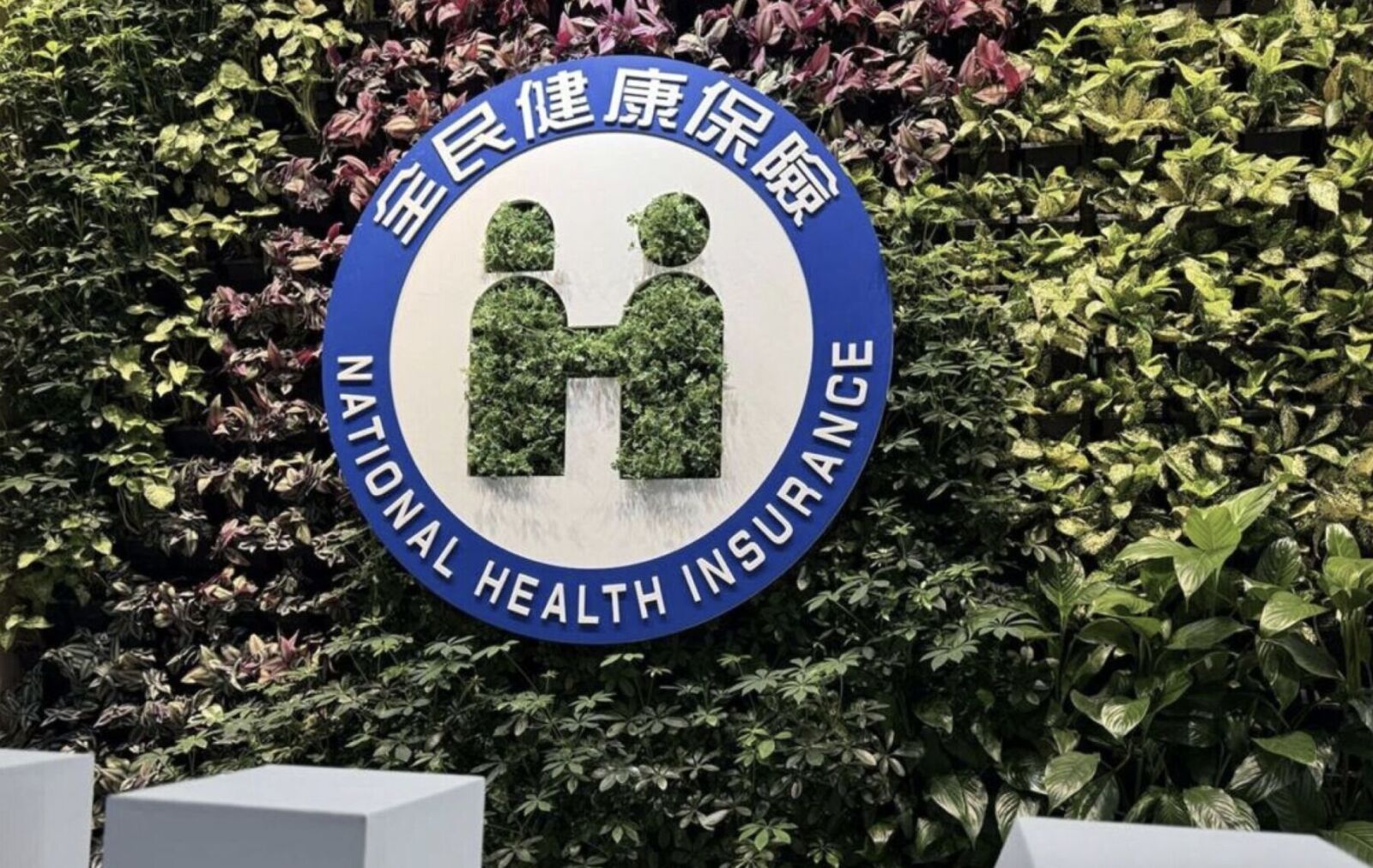 健保明年拿480萬人開刀! 利息股利「補充保費」改年度結算搶錢200億 228 健保明年拿480萬人開刀! 利息股利「補充保費」改年度結算搶錢200億 227