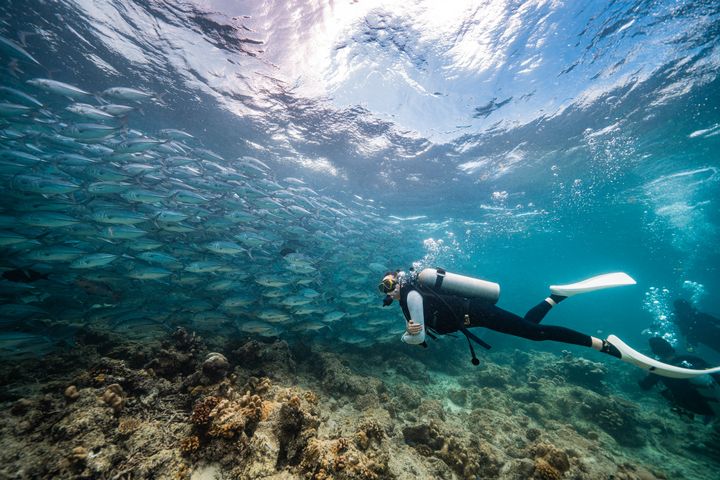 2025ITF台北國際旅展 馬來西亞館十分驚艷 精彩紛呈優惠搶先購