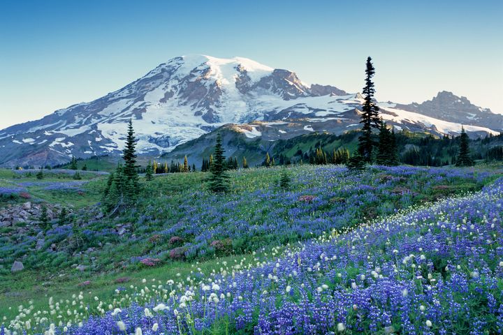 理想的「玩」美地圖/跳脫傳統!串聯太平洋西岸精華 直擊北美森林與火山地貌