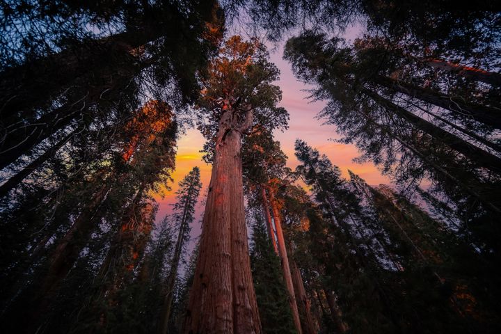 理想的「玩」美地圖/跳脫傳統!串聯太平洋西岸精華 直擊北美森林與火山地貌
