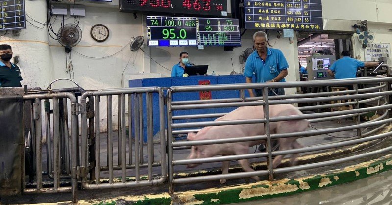 高雄市肉品市場今日恢復拍賣 價格穩定、供應充足