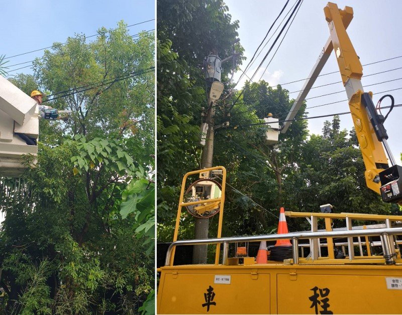 鳳凰颱風進逼 台電鳳山區處加強修剪樹木全力戒備
